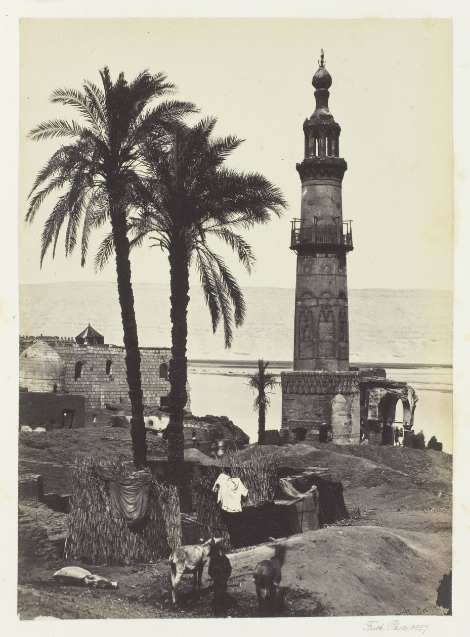 Ansicht von Girgeh, Oberägypten von Francis Frith
