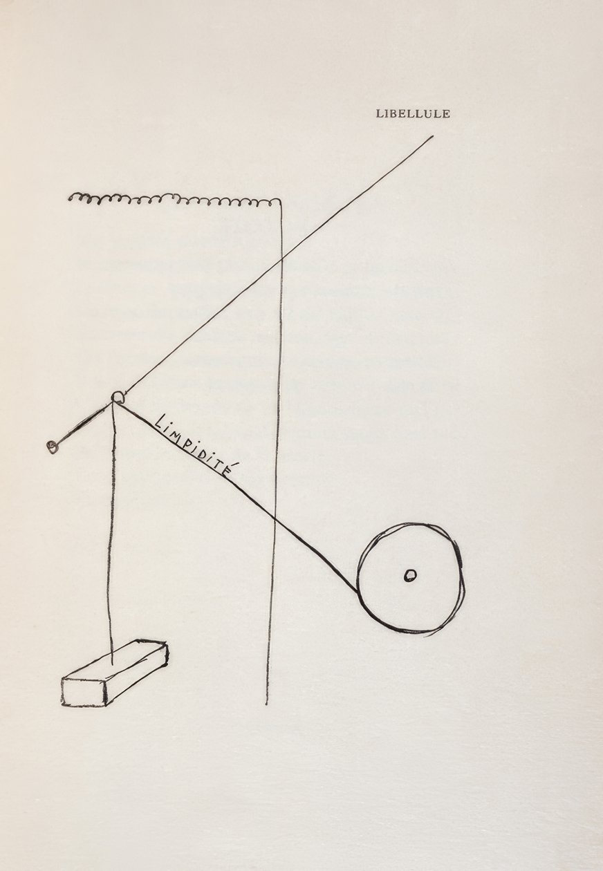 Libelle von Francis Picabia