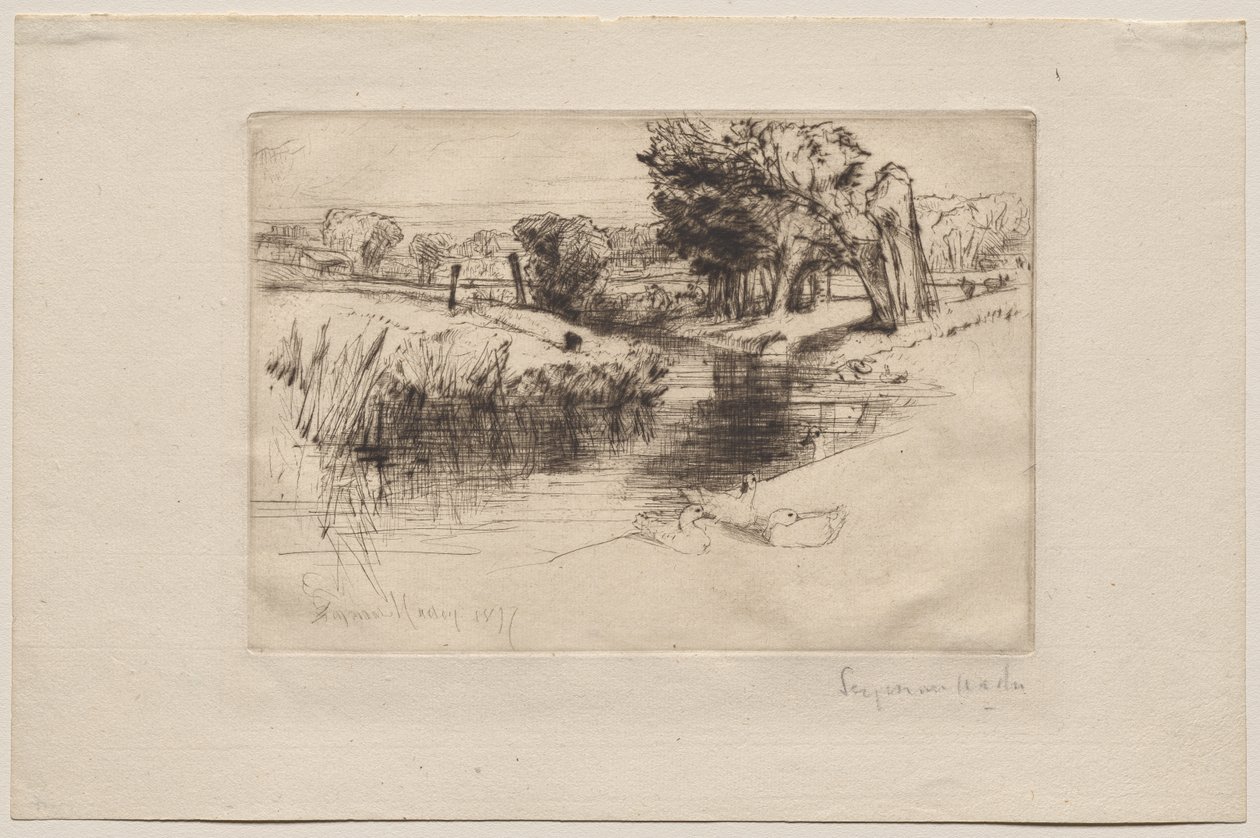 Ein Seitenarm von Francis Seymour Haden