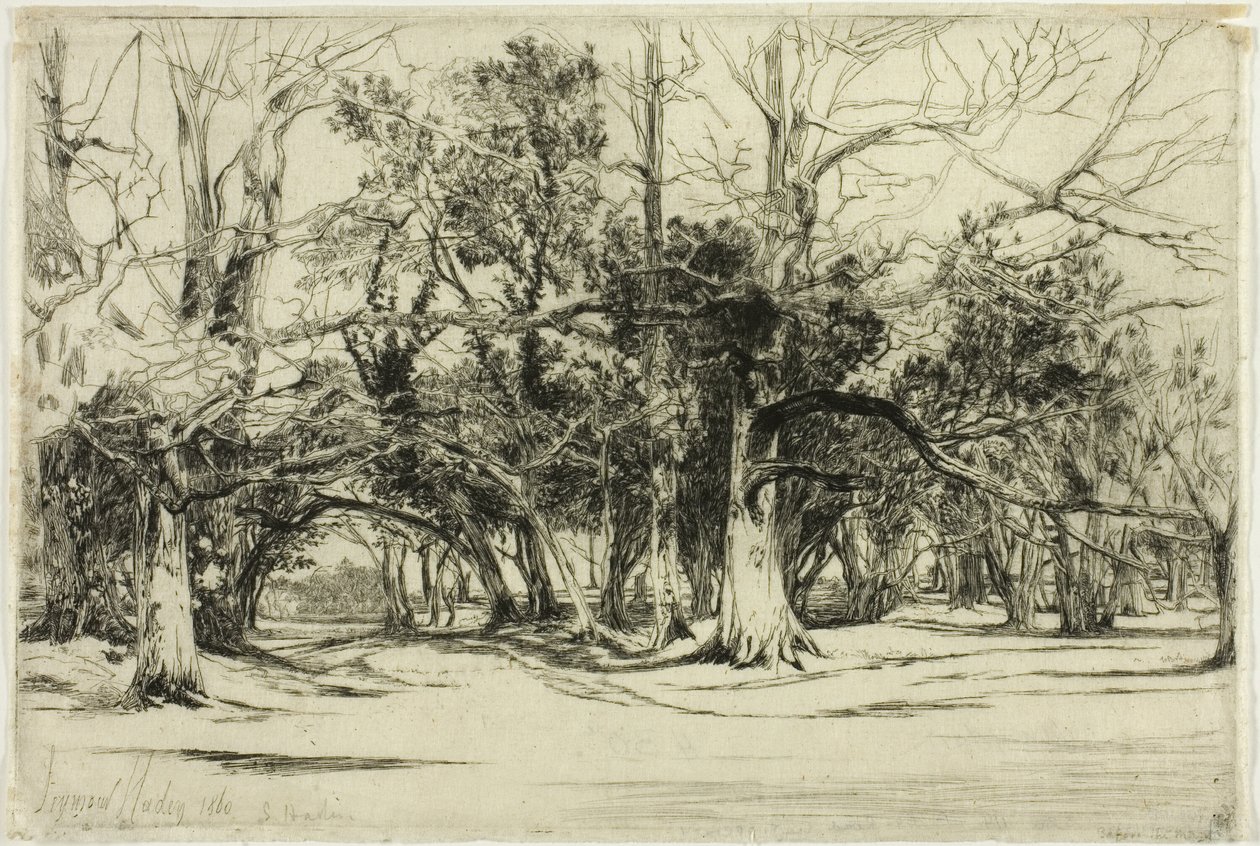 Ein Nebenweg in Tipperary von Francis Seymour Haden