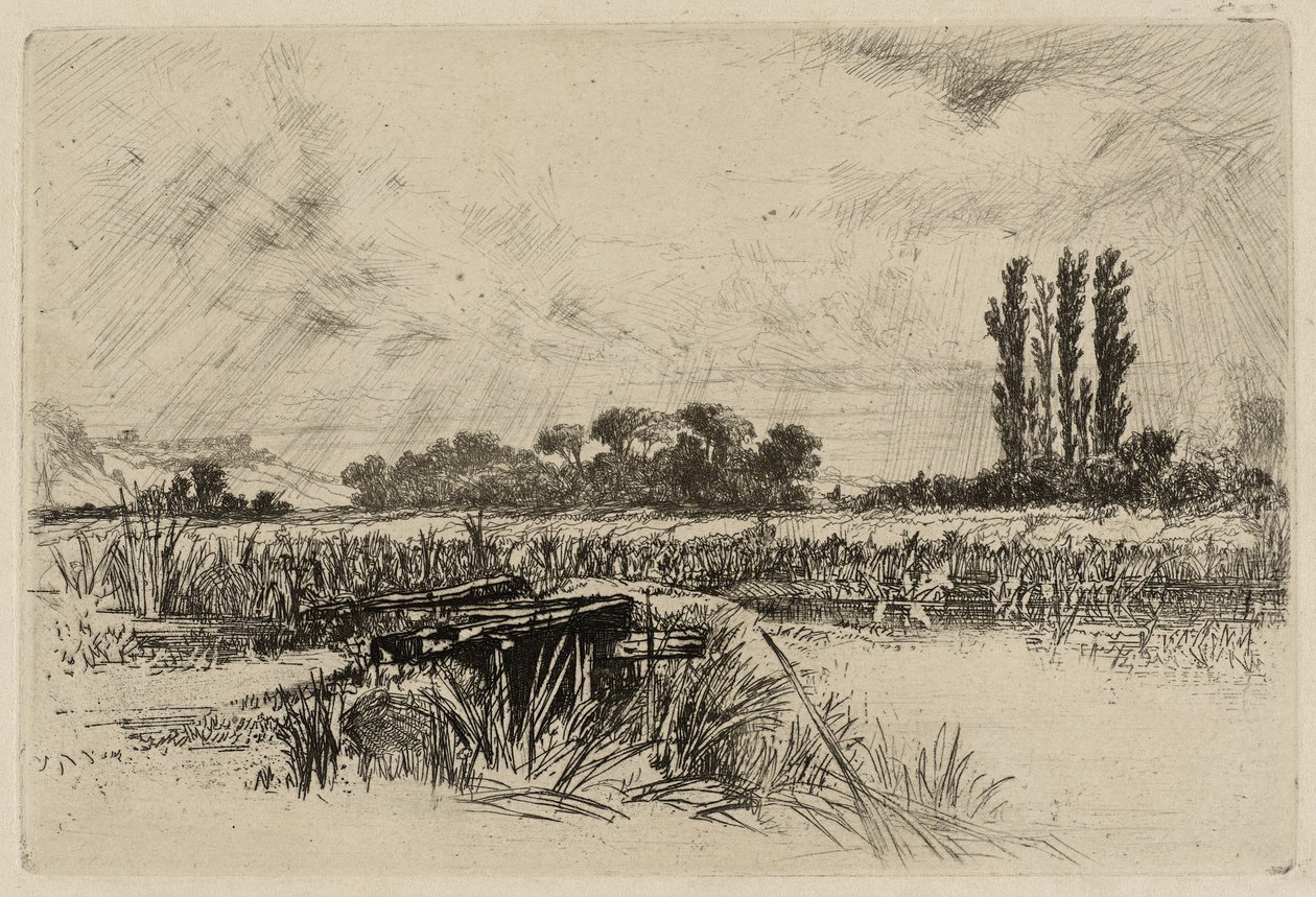 Eine Wasserwiese von Francis Seymour Haden