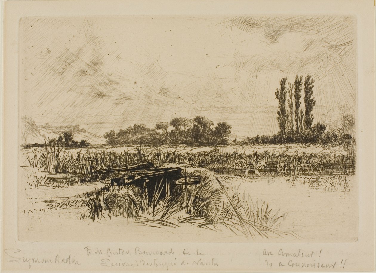 Eine Wasserwiese von Francis Seymour Haden