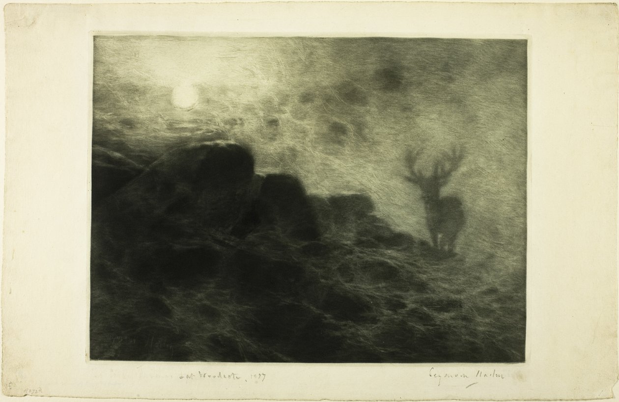 Ein Frühaufsteher von Francis Seymour Haden