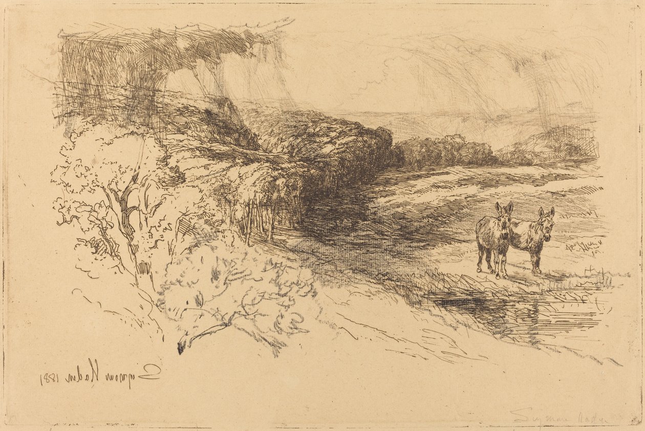 Encombe Woods (Nr.1) von Francis Seymour Haden