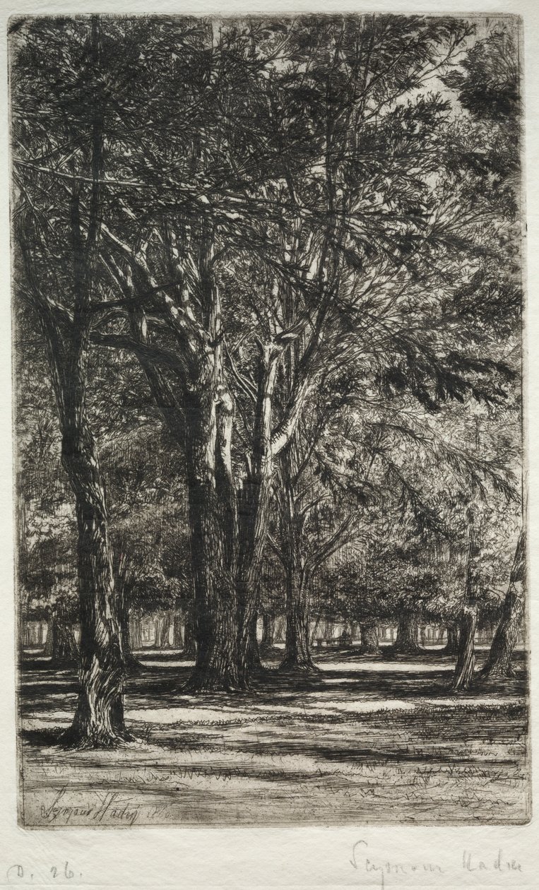 Kensington Gardens Die größere Platte, 1860 von Francis Seymour Haden