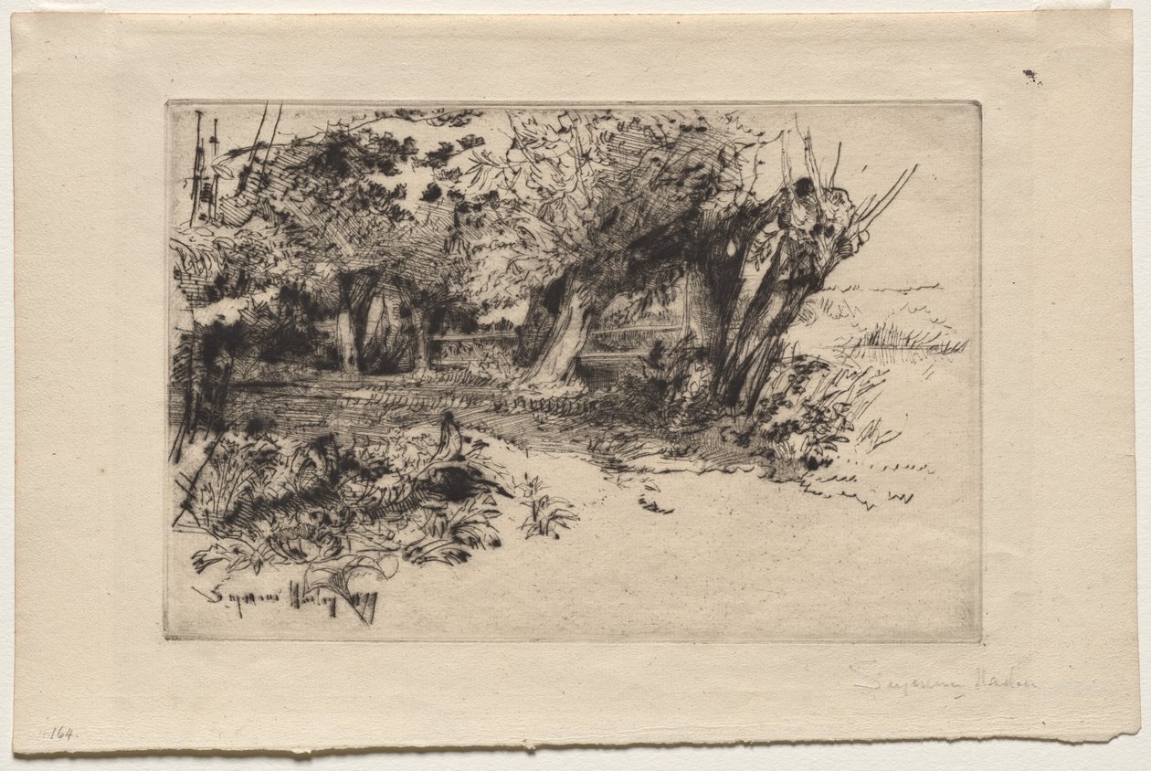 Die Weiden von Francis Seymour Haden