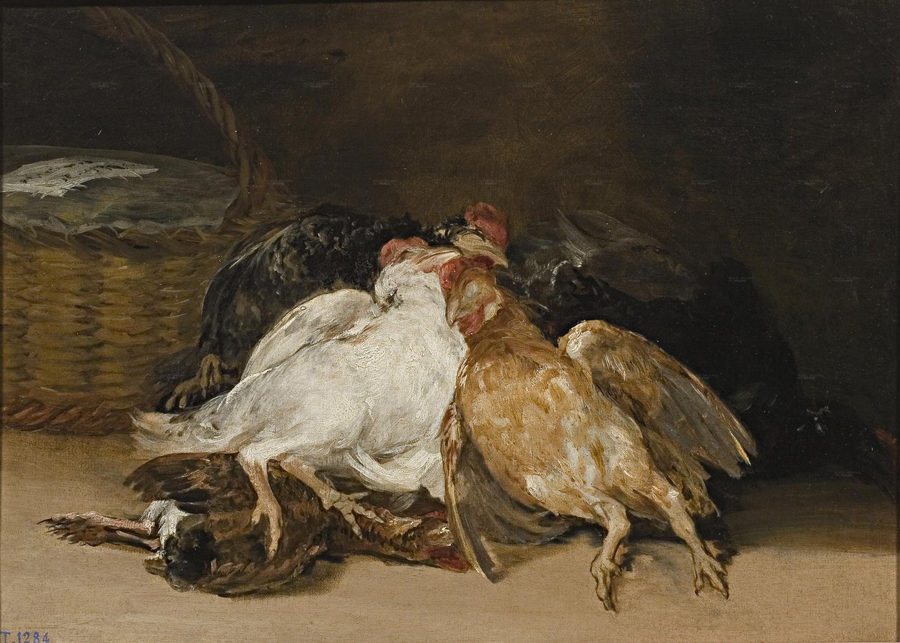 Tote Vögel von Francisco de Goya