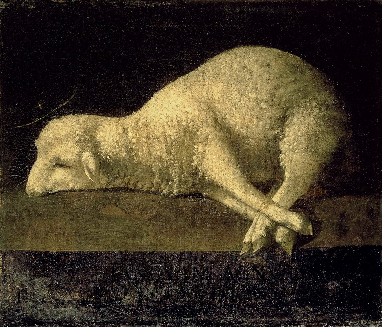 Agnus Dei von Francisco de Zurbaran