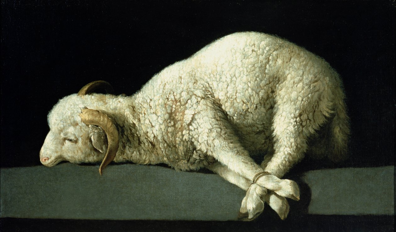 Agnus Dei, ca. 1635-40 von Francisco de Zurbaran