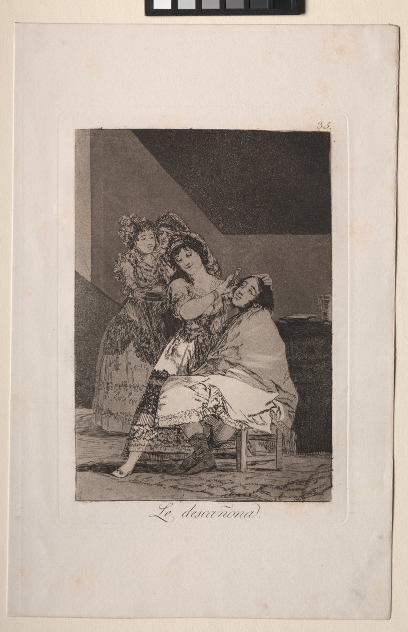 Caprichos: Sie rupft ihn von Francisco de Goya