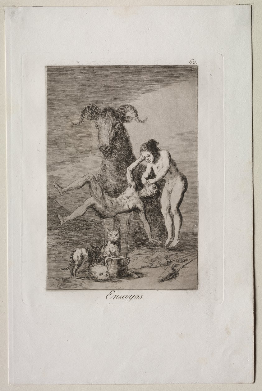 Caprichos: Prüfungen von Francisco de Goya