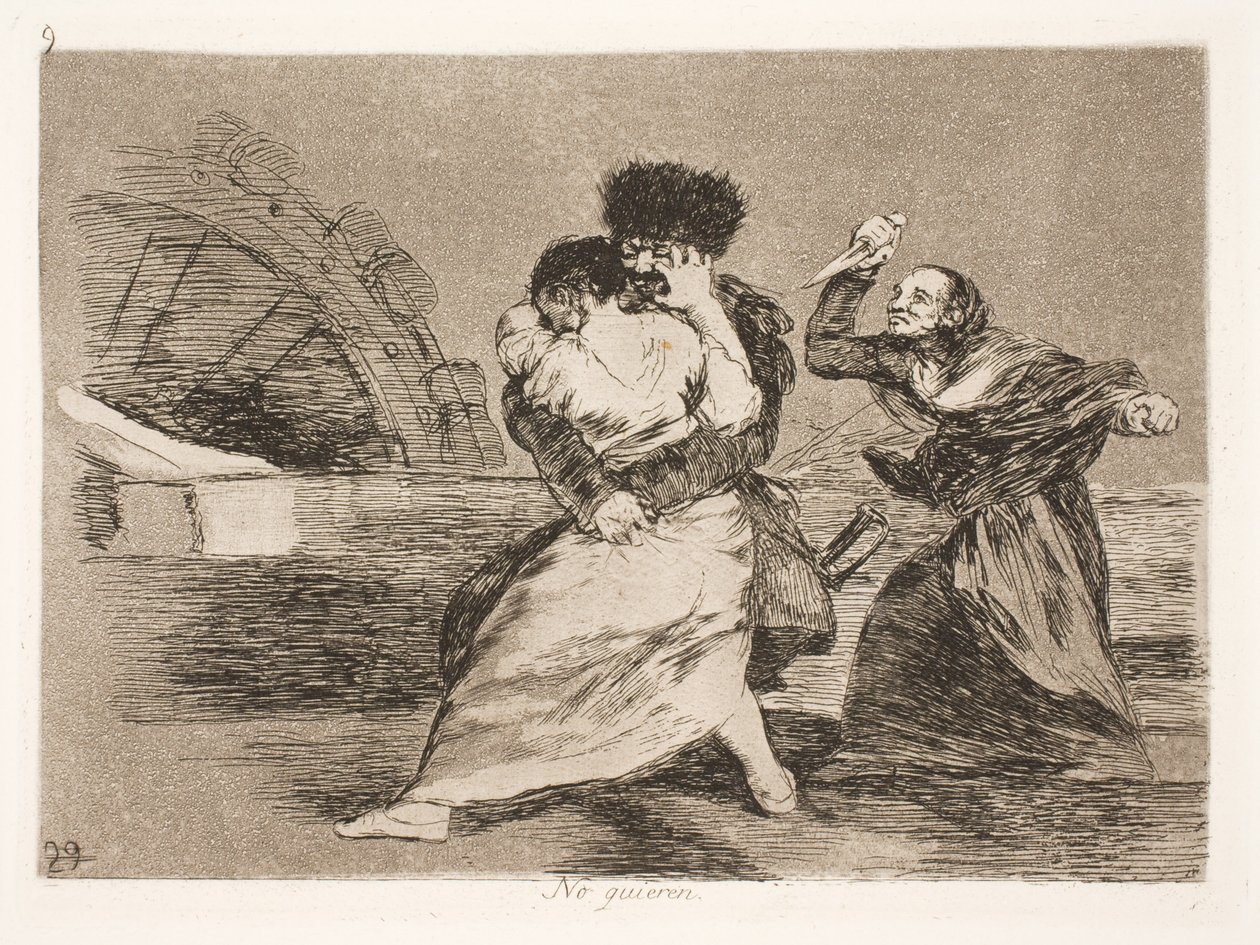 Sie wollen nicht (9) von Francisco de Goya