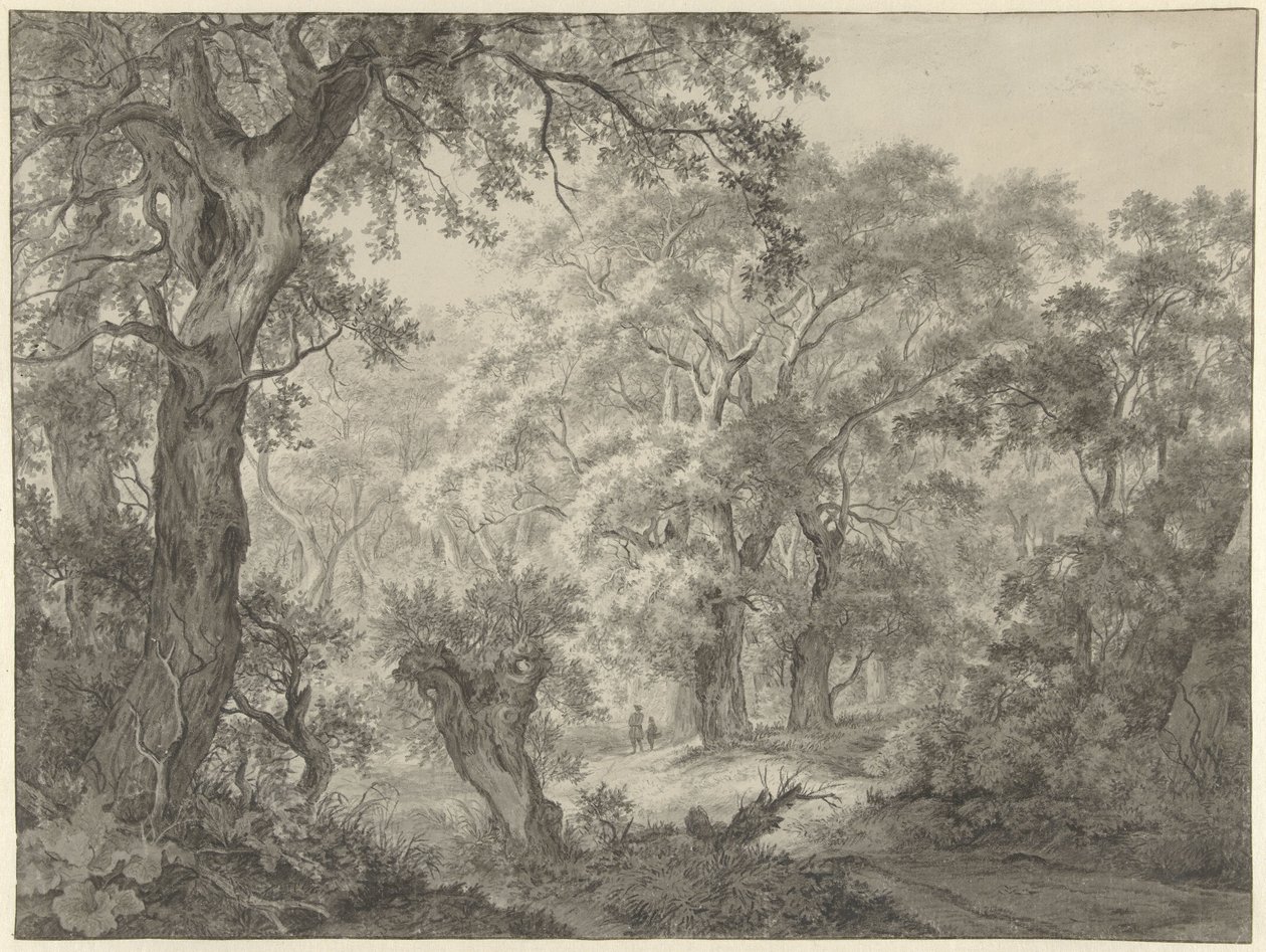 Waldlandschaft von Franciscus Andreas Milatz