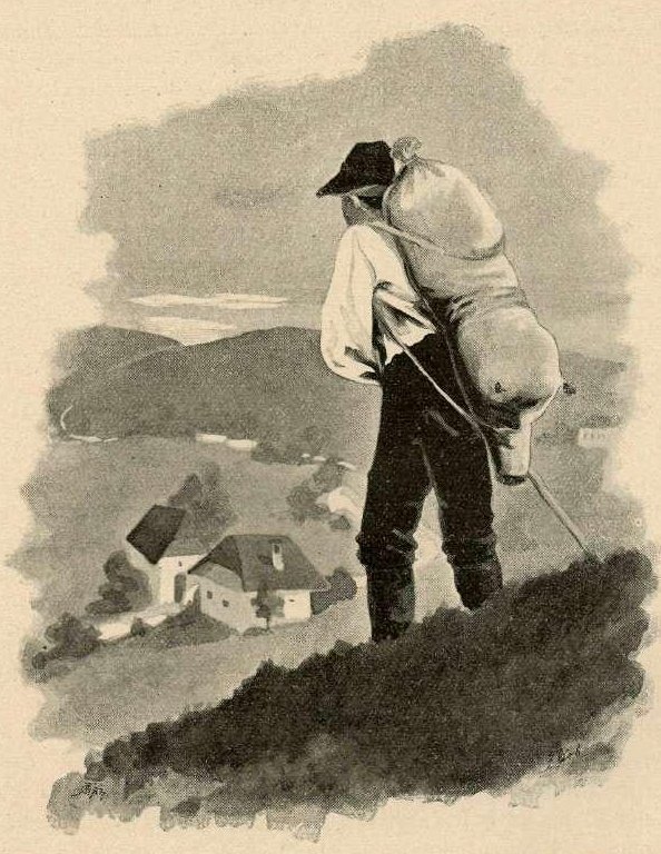 Im Himbeerfeld von Francisek Dobnikar