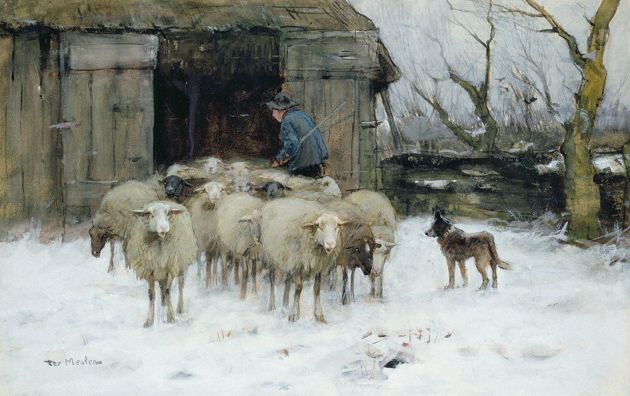 Schafe an einem Wintermorgen von Francois Pieter ter Meulen