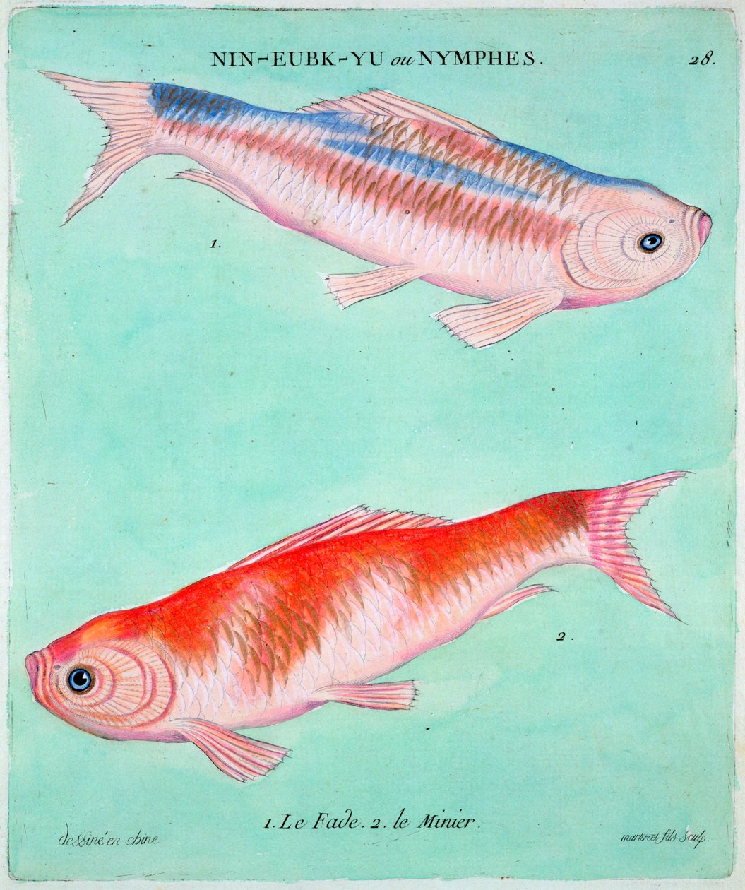 Chinesische Goldfische, 18. Jahrhundert von Francois Nicolas Martinet