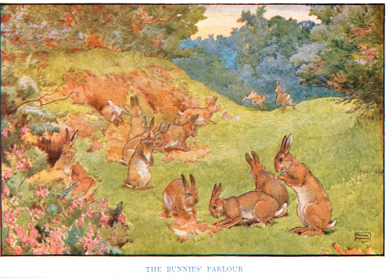 Der Kaninchen-Salon, Illustration aus 