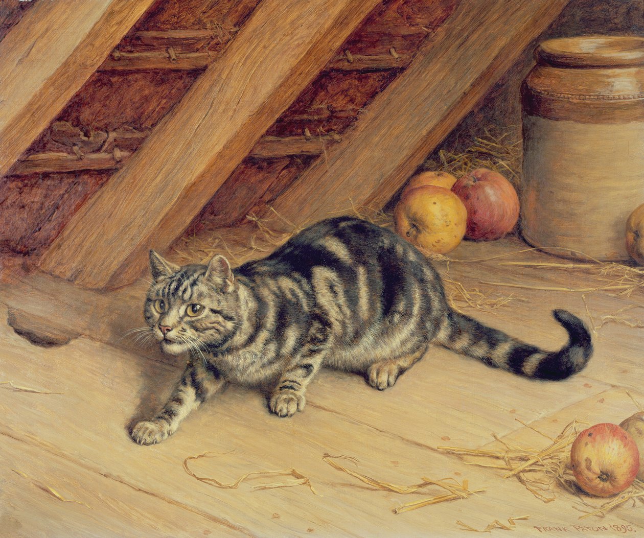 Alarm von Frank Paton