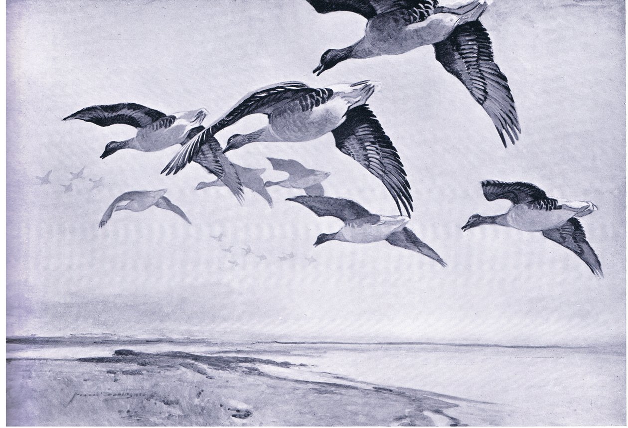 Der Morgenflug von Frank Southgate