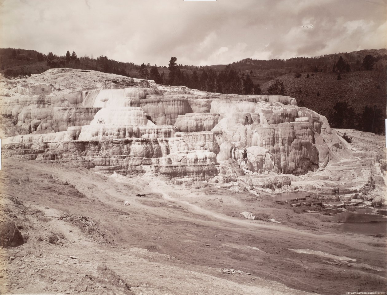 Minerva Terrasse, Mammoth Hot Springs von Frank Jay Haynes