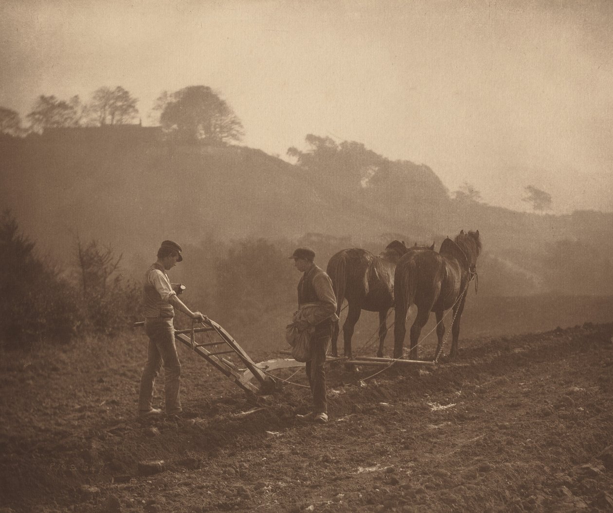Abendessen, ca. 1890 (Foto) von Frank Meadow Sutcliffe