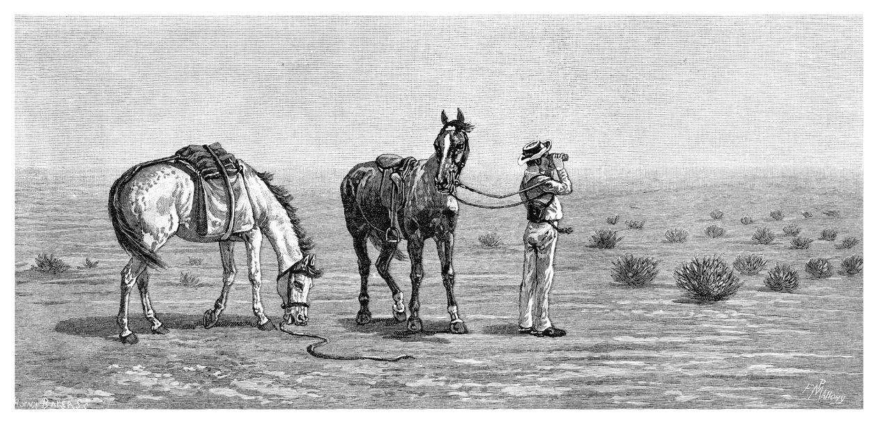 Nichts in Sicht, 1886 von Frank P. Mahony