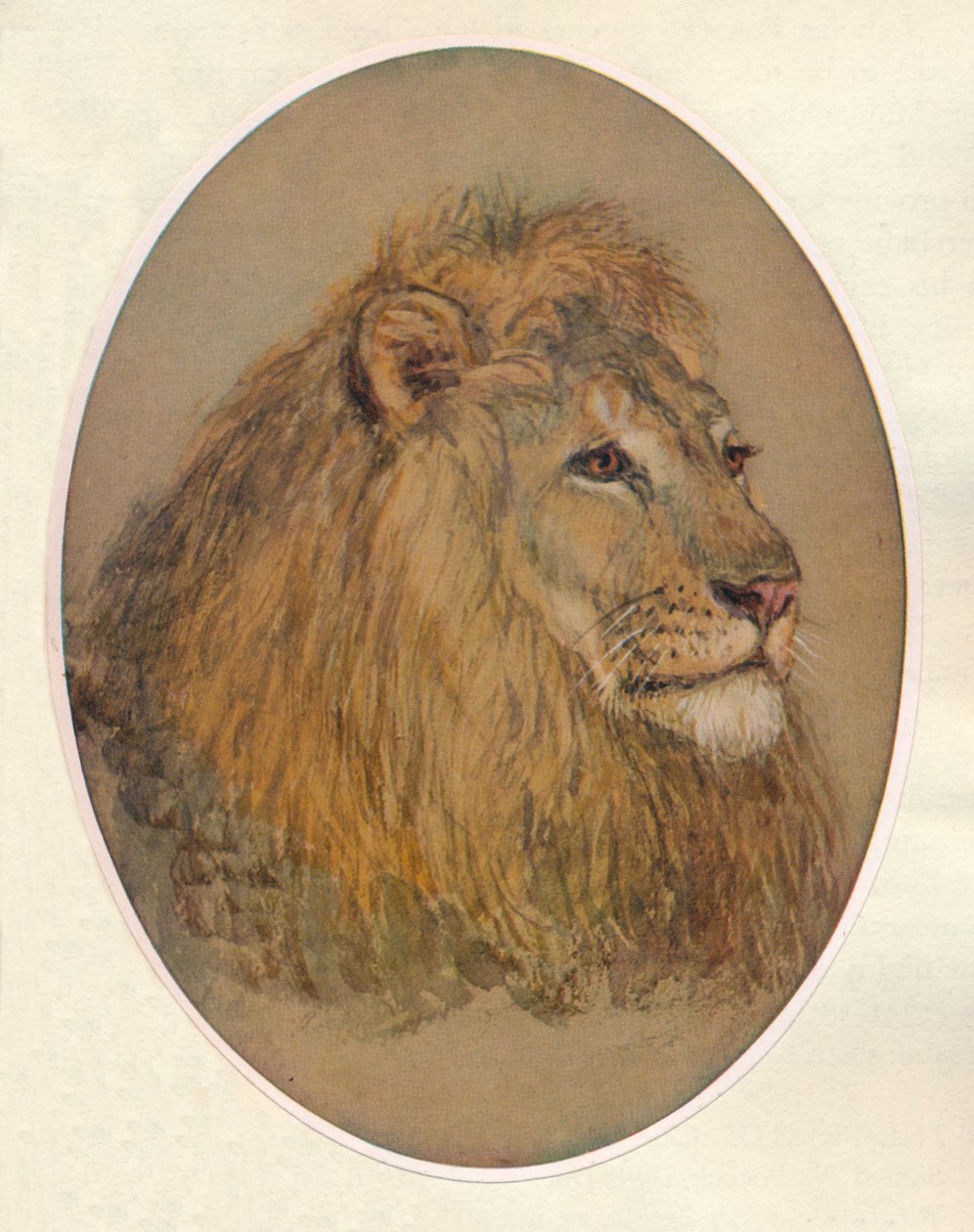 Lions Head, ca. 1896 von Frank Paton