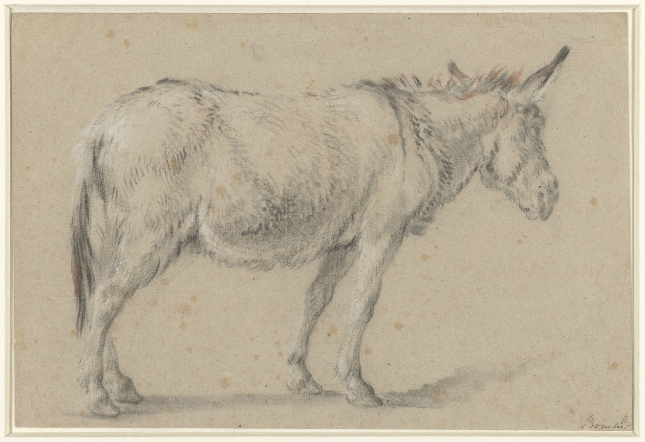 Stehender Esel, nach rechts von François Boucher (possibly)