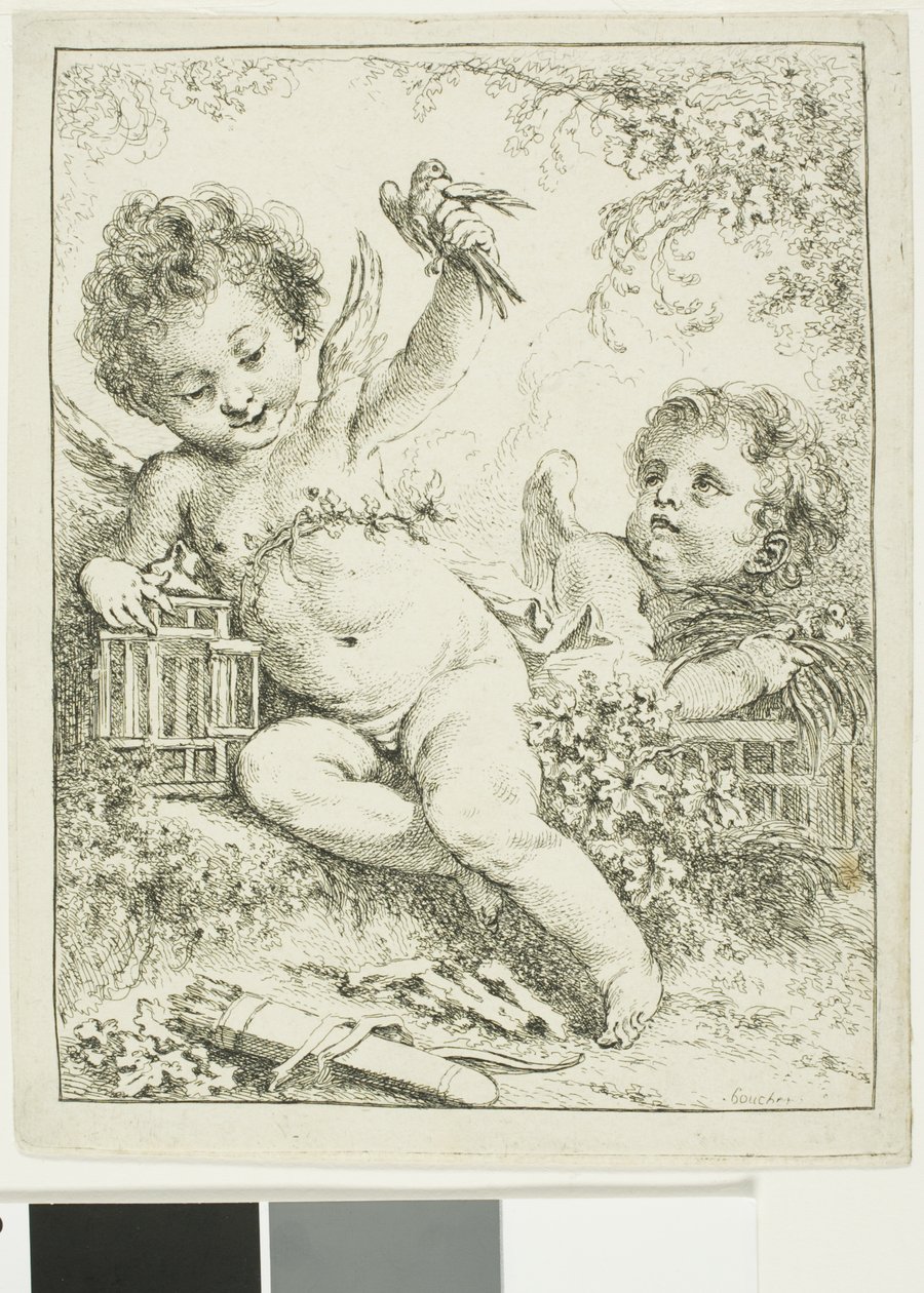Zwei Putti mit einem Vogel von François Boucher
