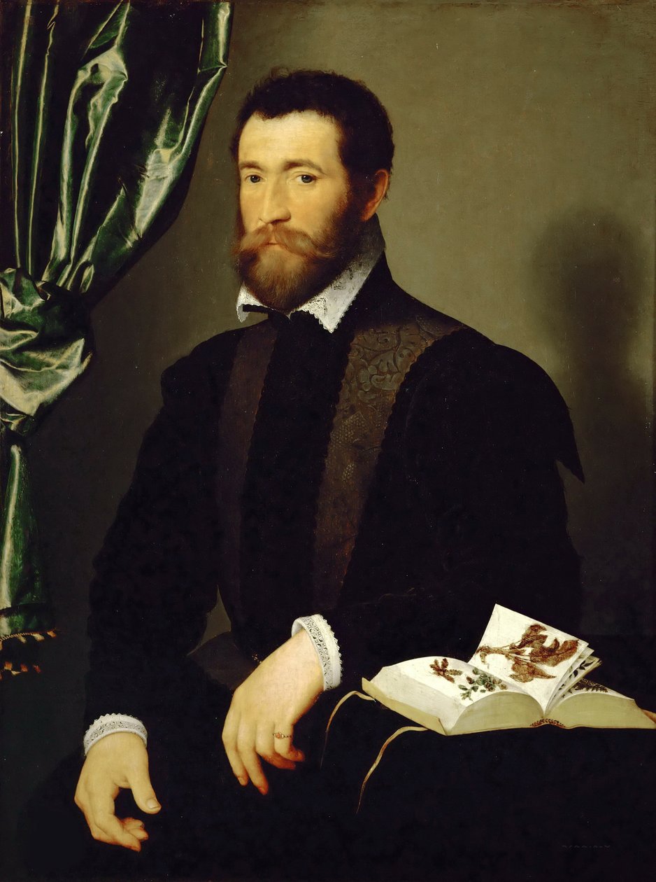 Porträt von Pierre Quthe, Apotheker, 1562 von François Clouet