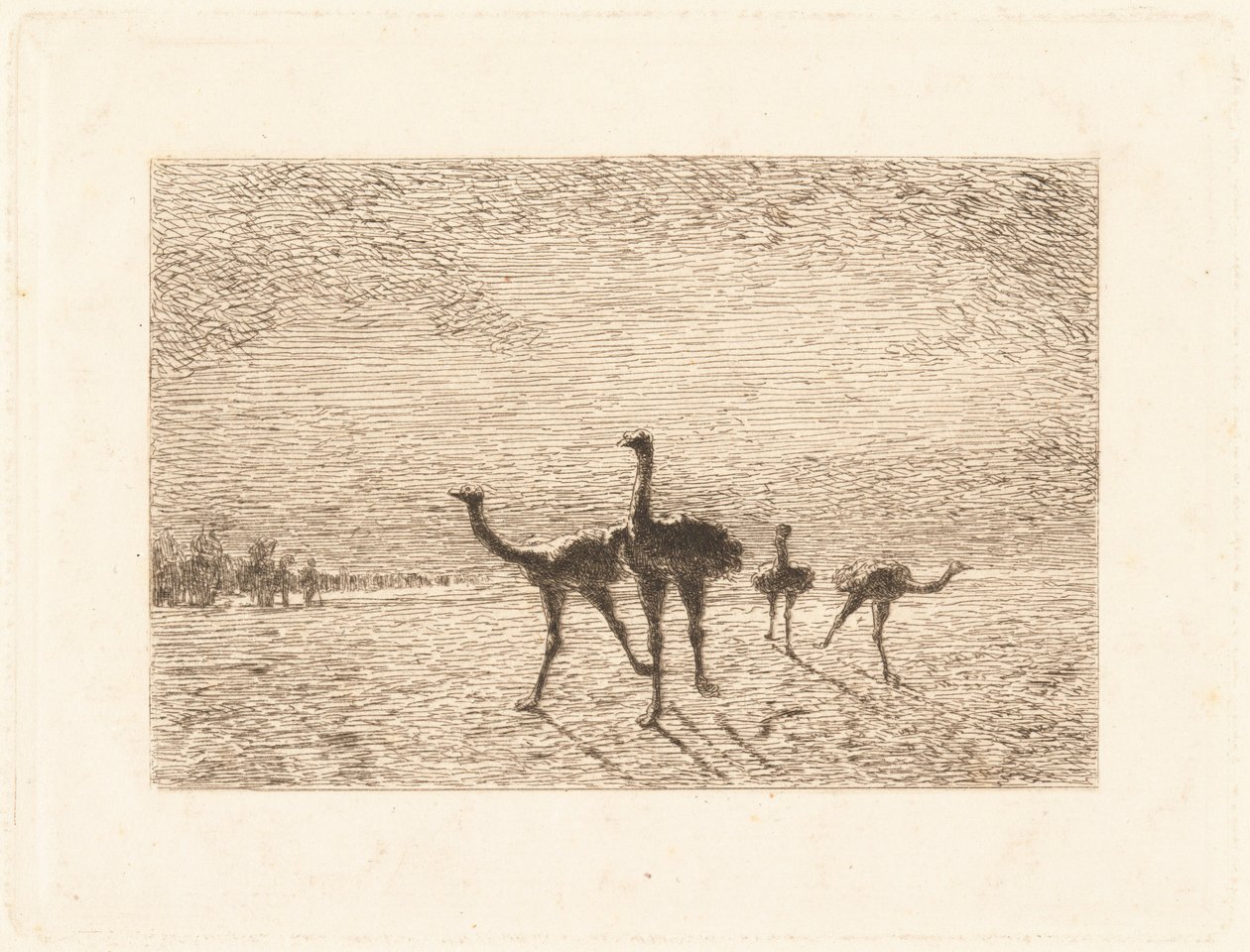 Strauße in der Wüste von François Nicolas Auguste Feyen Perrin