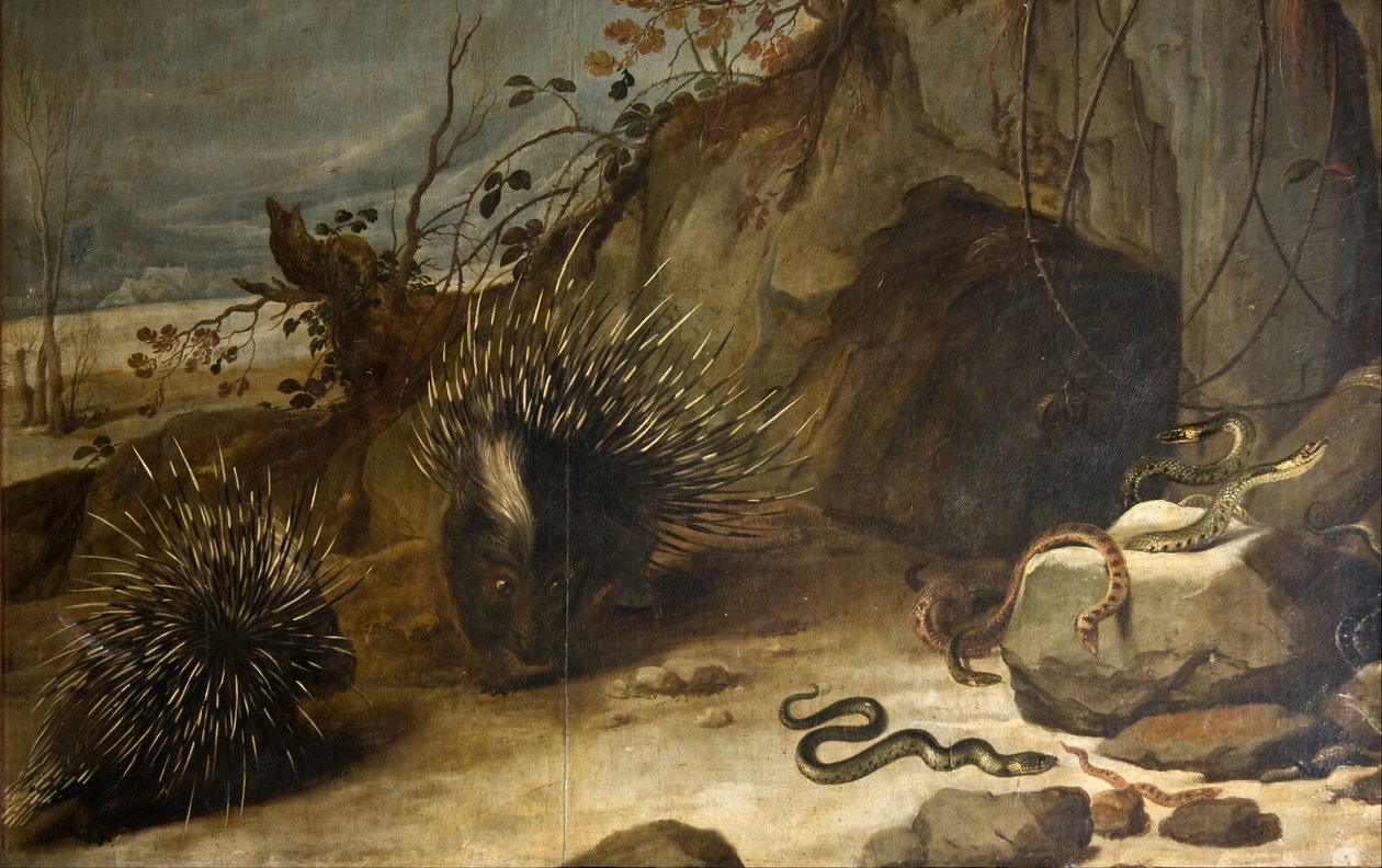 Stachelschweine und Vipern von Frans Snyders or Snijders