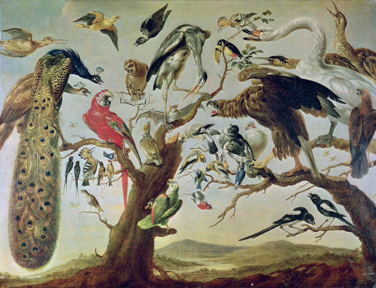 Das Konzert der Vögel von Frans Snyders or Snijders