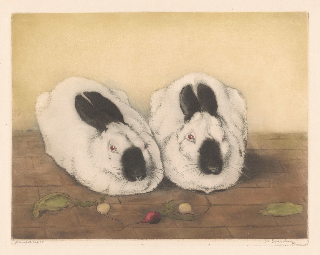 Zwei Himalaya-Kaninchen von Frans Everbag (signed by artist)