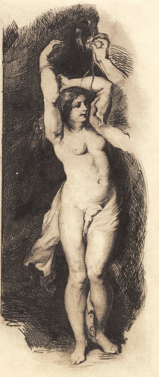 Andromeda, nach Rubens von Frans Schwartz