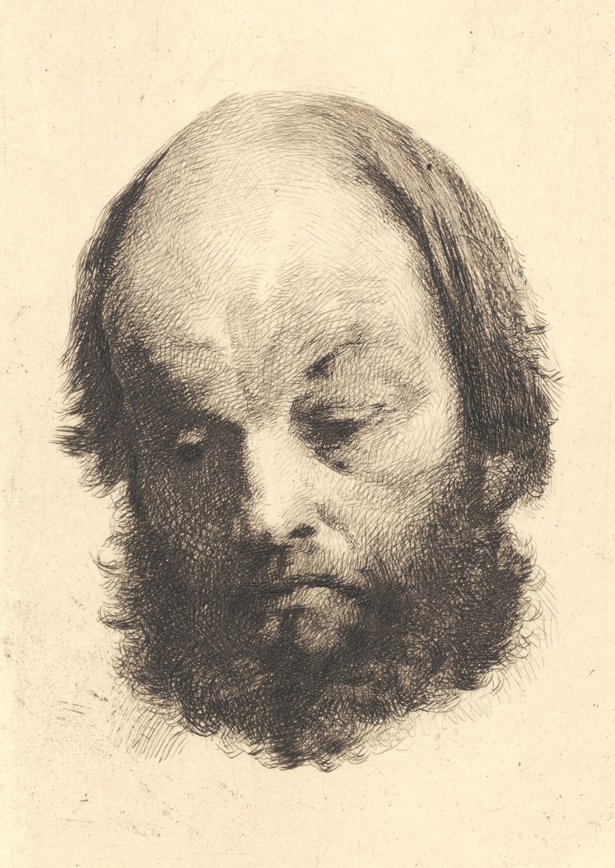 Schwarzbärtiger Mann, Garibaldi von Frans Schwartz
