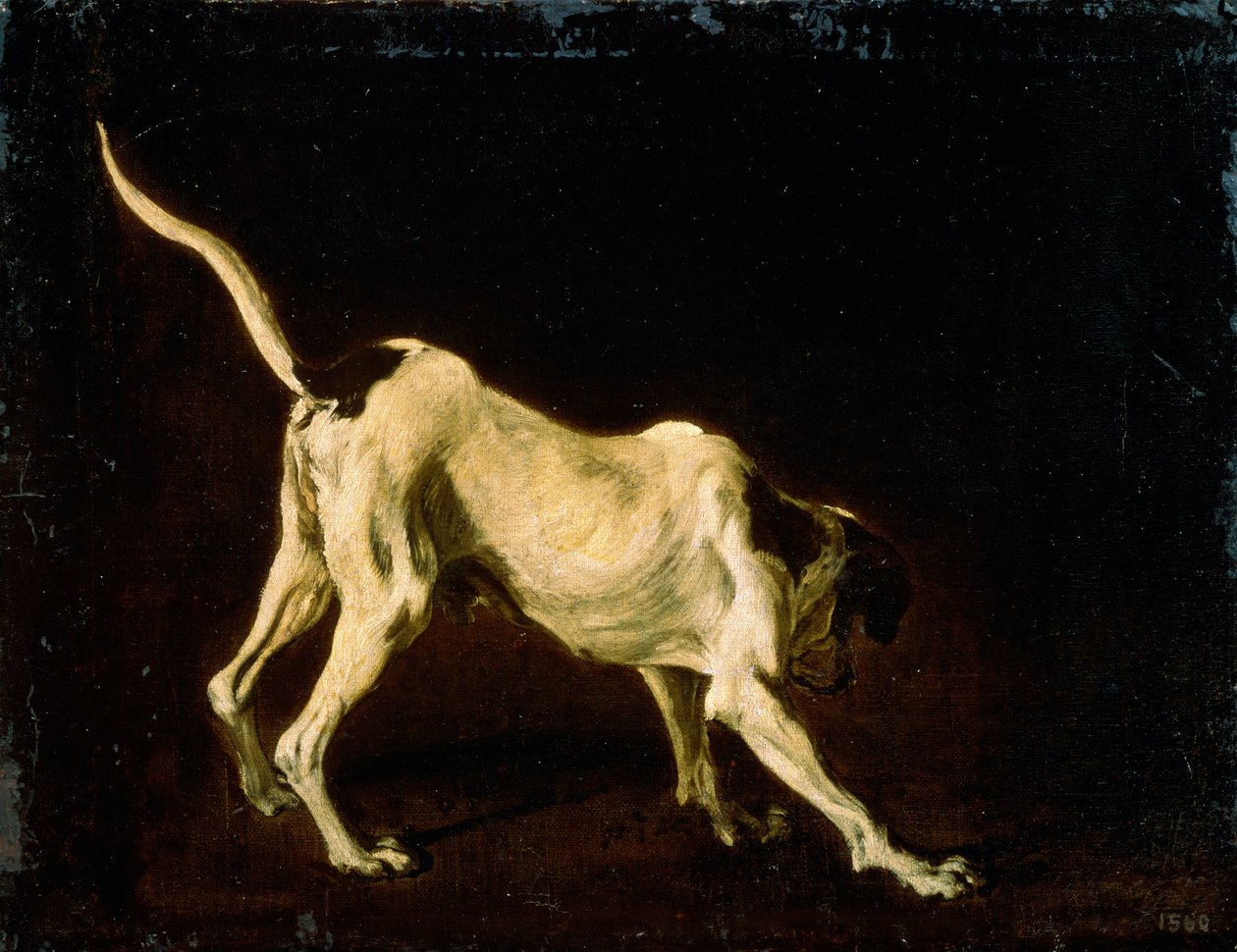 Ein Hund, 17. Jahrhundert von Frans Snyders or Snijders