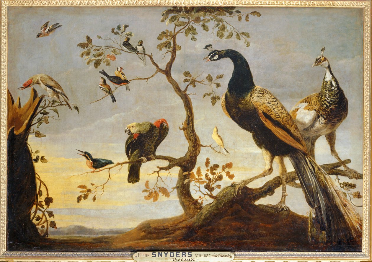 Vögel auf Zweigen von Frans Snyders