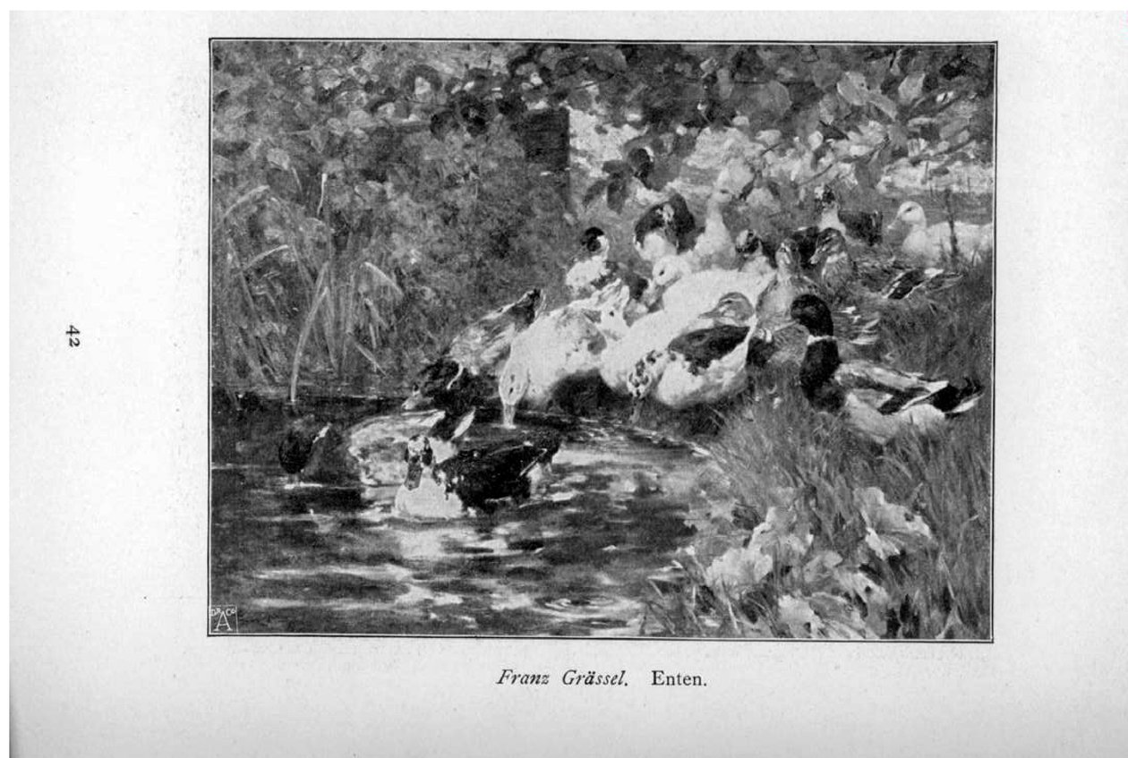 Enten von Franz Grassel