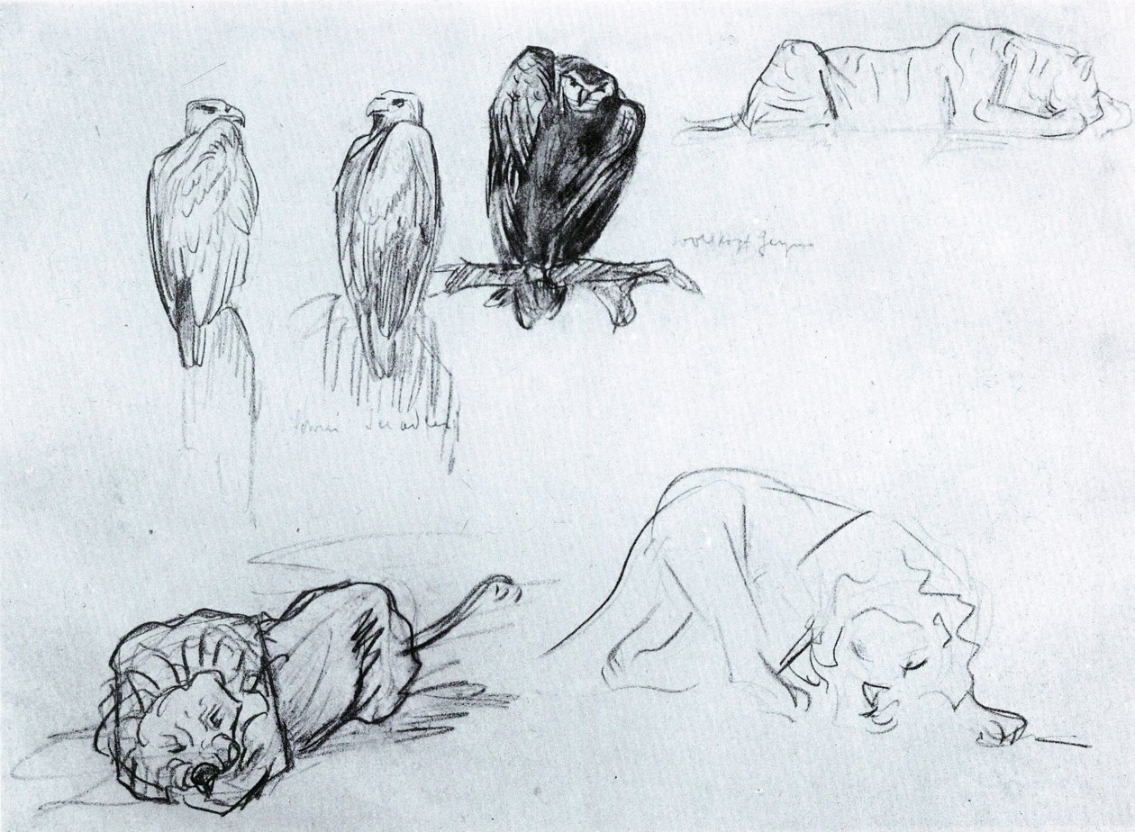 Seeadler und Löwen von Franz Marc