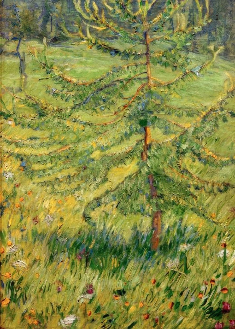 Junge Lärche auf einer Waldwiese von Franz Marc