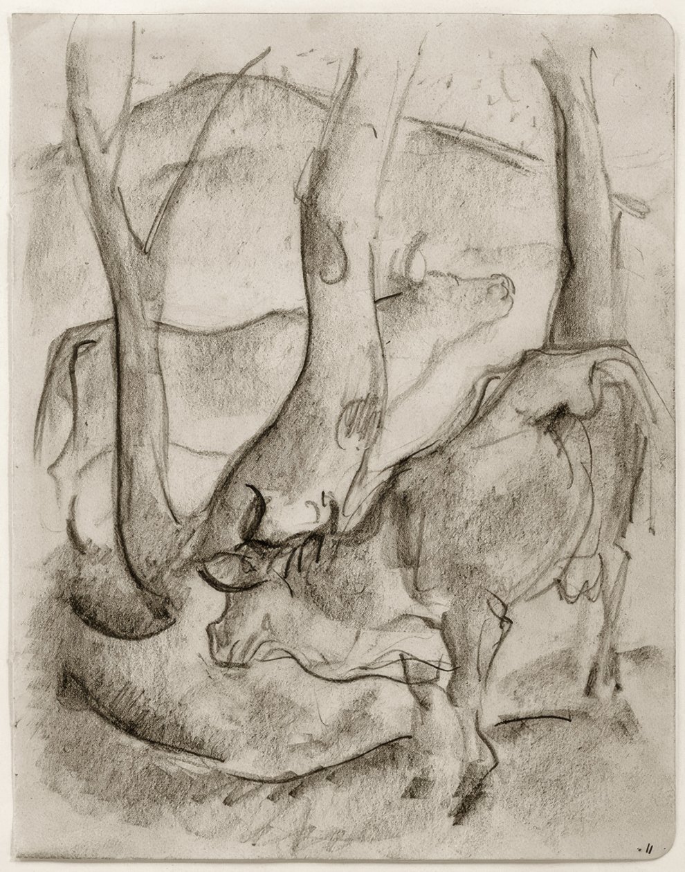 Zwei Kühe unter Bäumen von Franz Marc