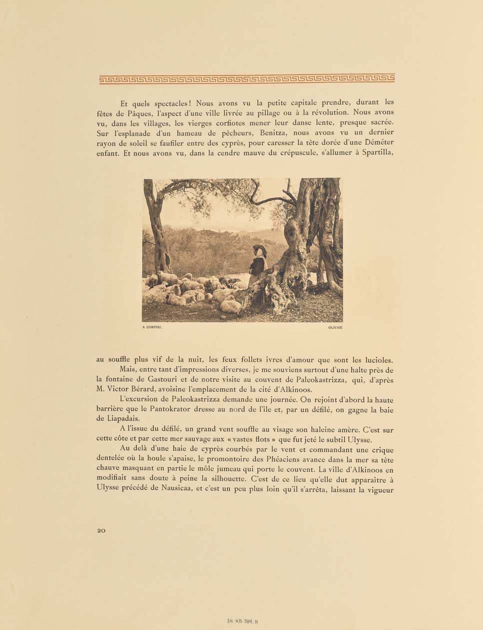 Korfu. Olivenhain von Frédéric Boissonnas