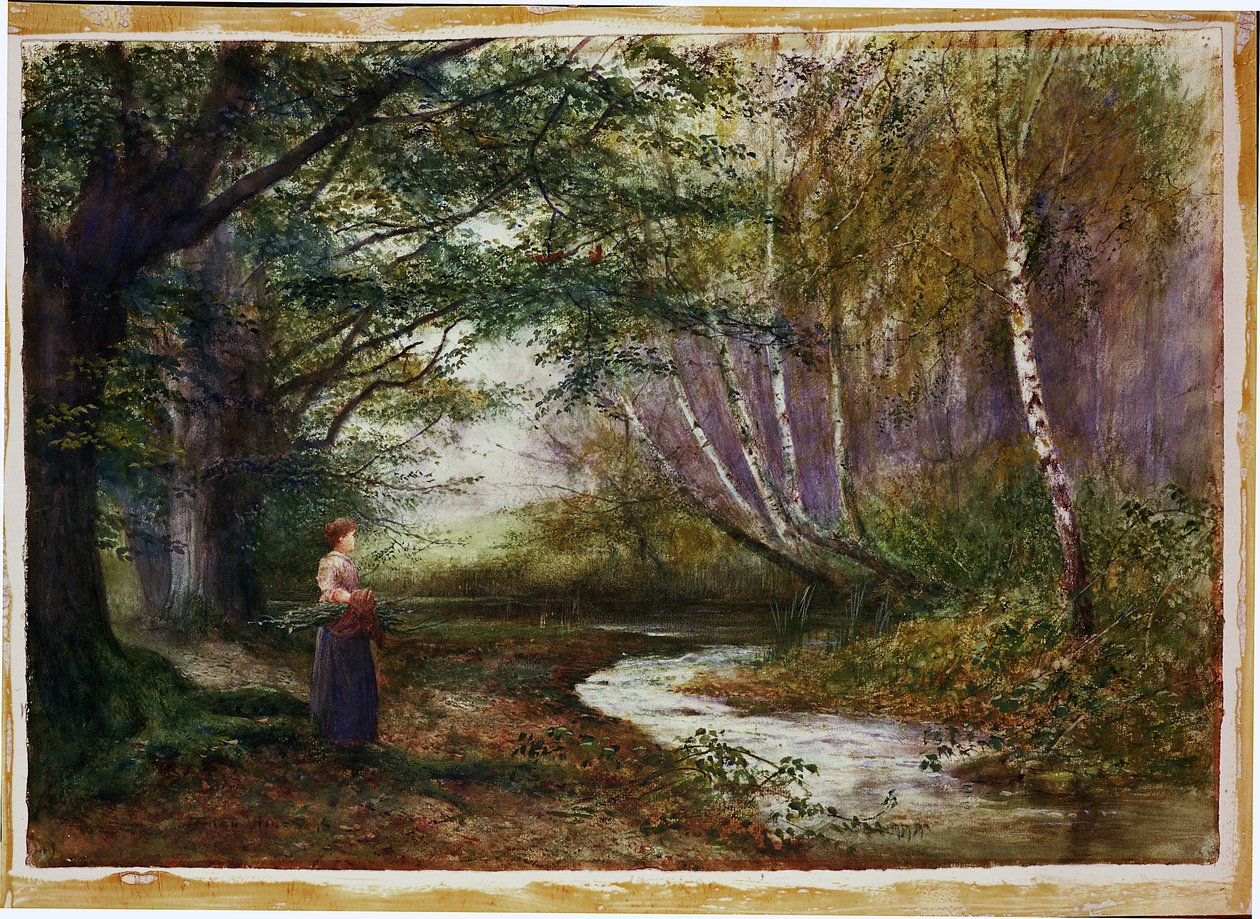 Burnham Beeches, Herbst von Fred Hines
