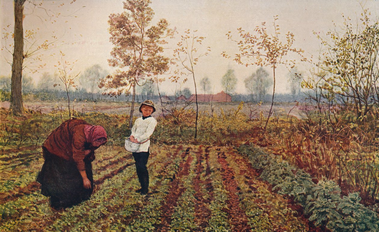 Das Veilchenfeld, 1867, ca. 1915 von Fred Walker