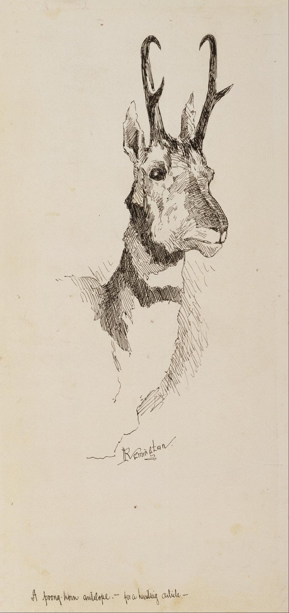 Ein Gabelbock von Frederic Remington
