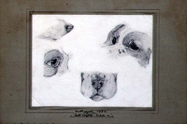 Studien des Hundes des Künstlers von Frederic (attr. to) Leighton