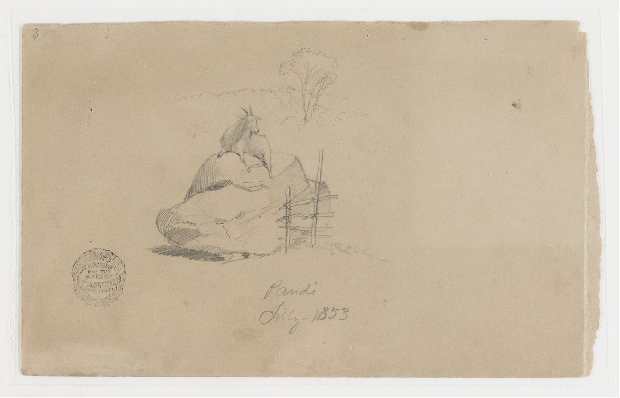 Eine Ziege in Pandi, Kolumbien von Frederic Edwin Church