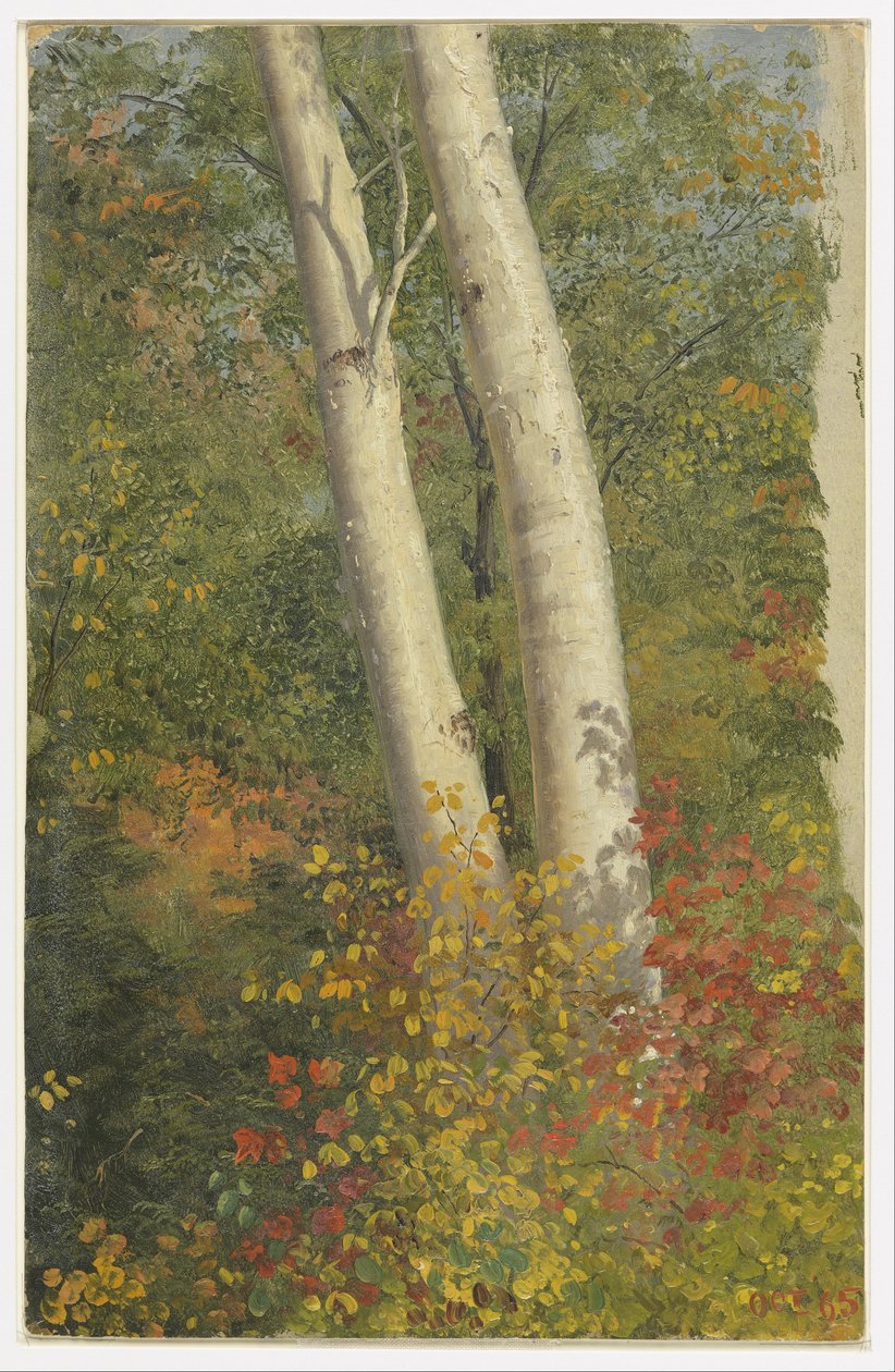 Birken im Herbst von Frederic Edwin Church