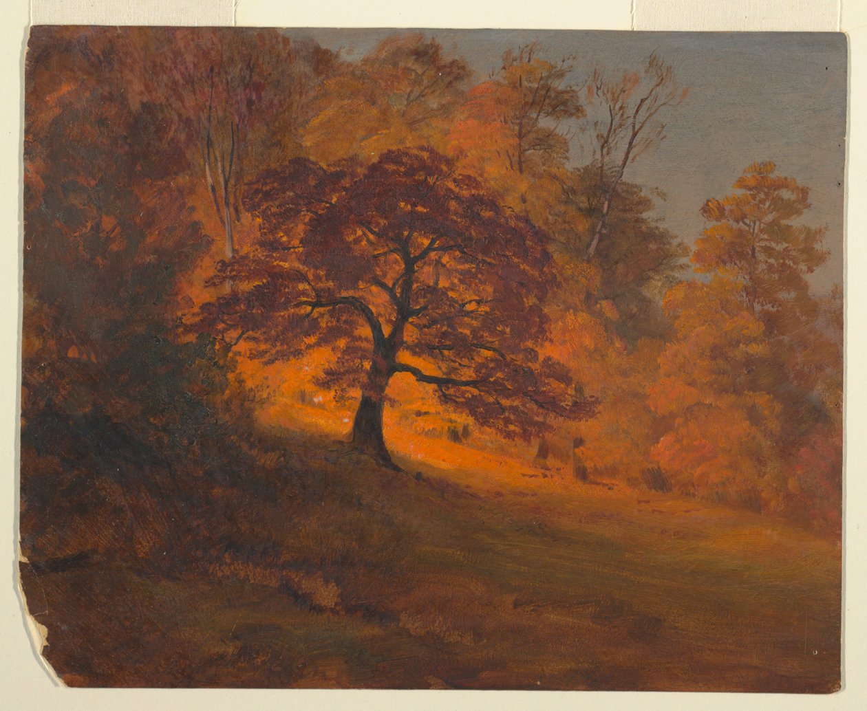 Herbstlaub von Frederic Edwin Church